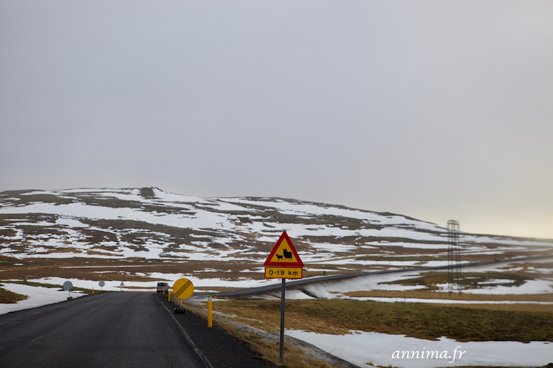 Pourquoi Partir En Islande En Hiver? – Annima.fr